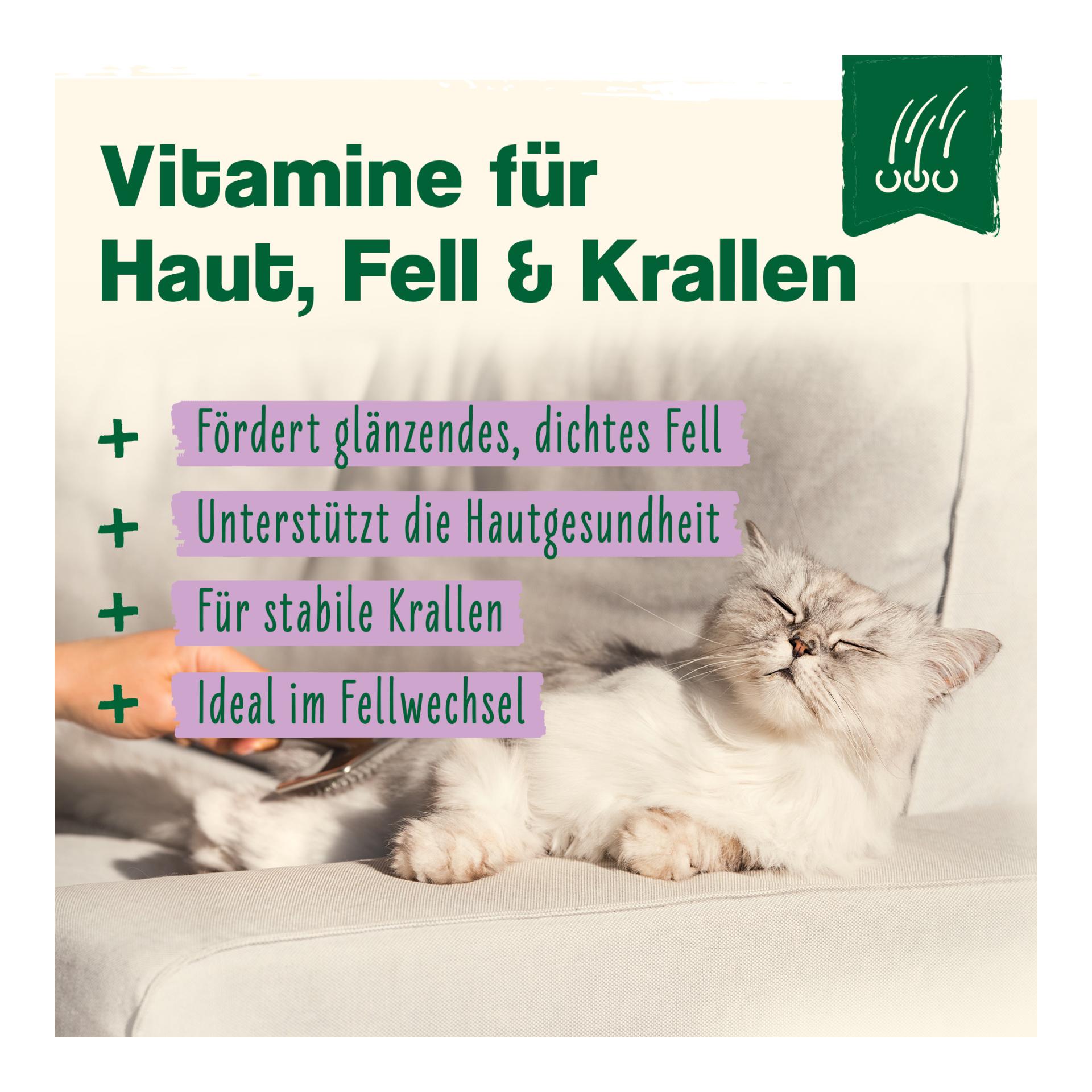 IdaPlus Bierhefe Tabletten - optimale Pflege für glänzendes Fell & kräftige Haut