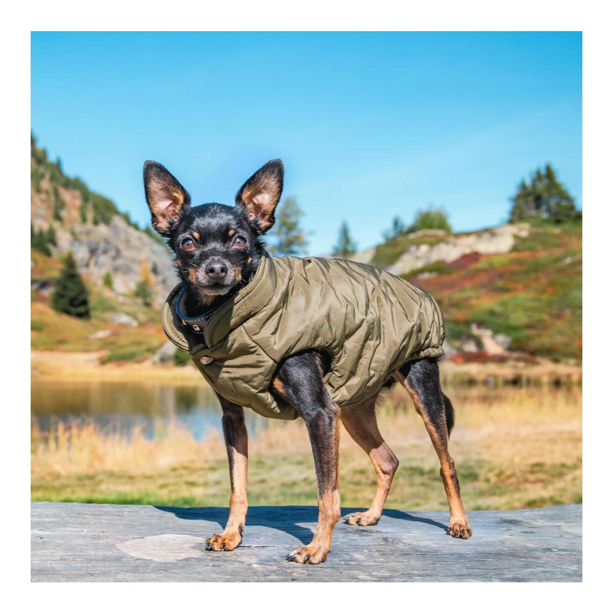 Hundemantel Kitzbühel