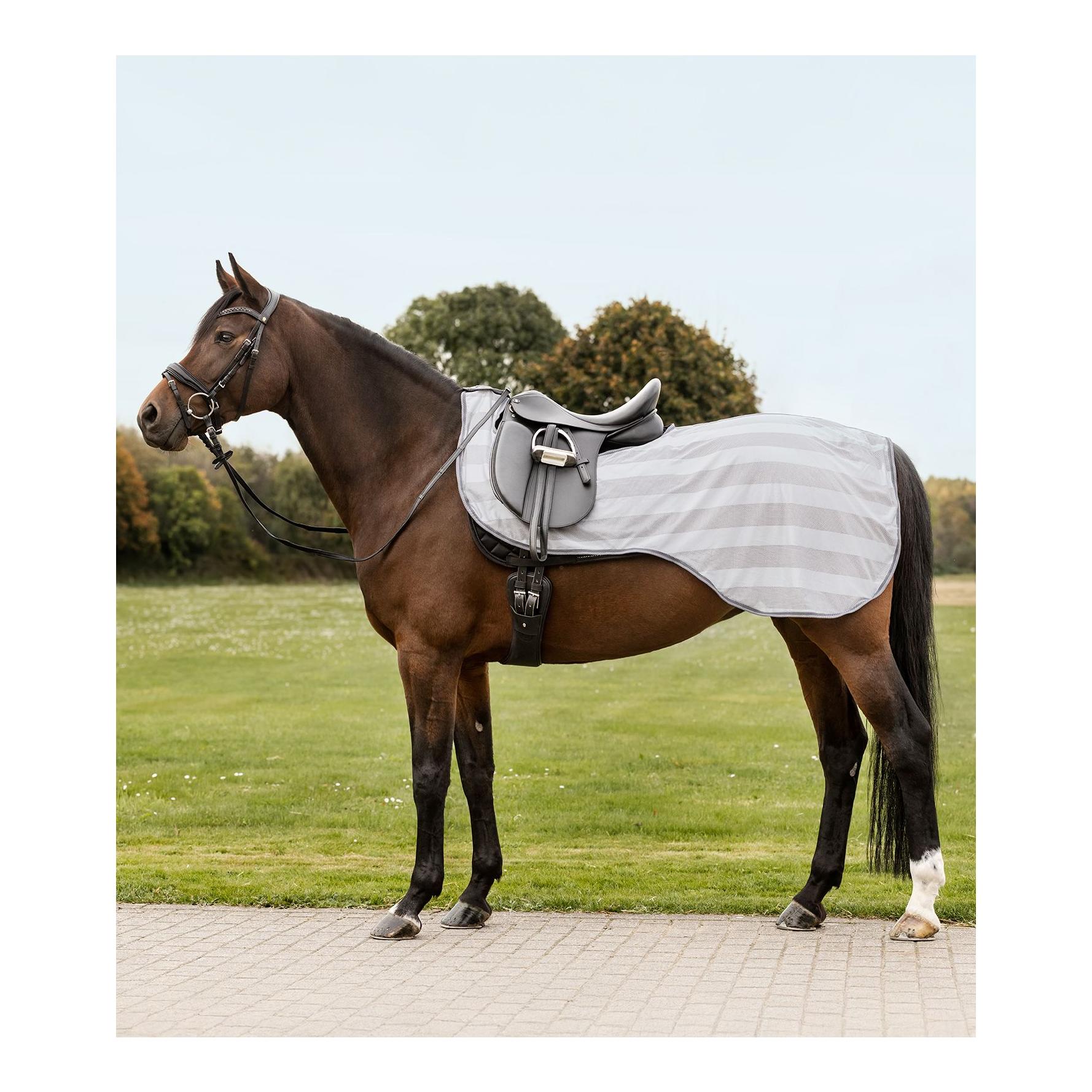 Fliegen-Ausreitdecke Comfort 