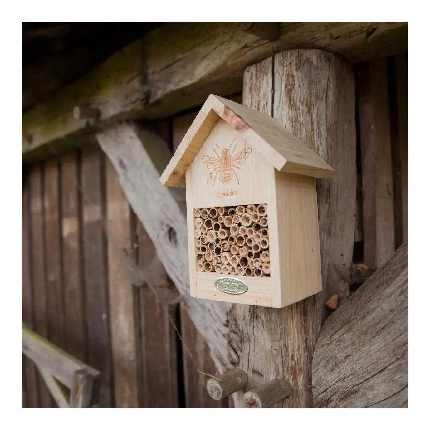 Bienenhaus mit Silhouette