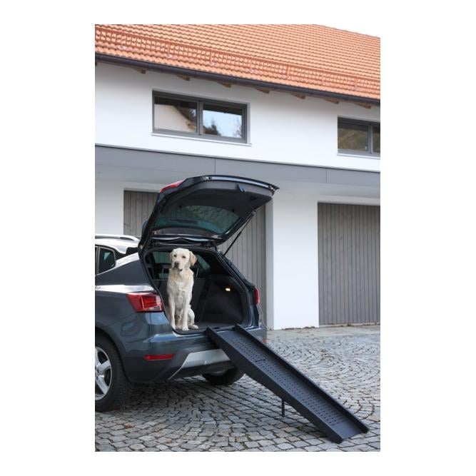 Rampe pour chiens