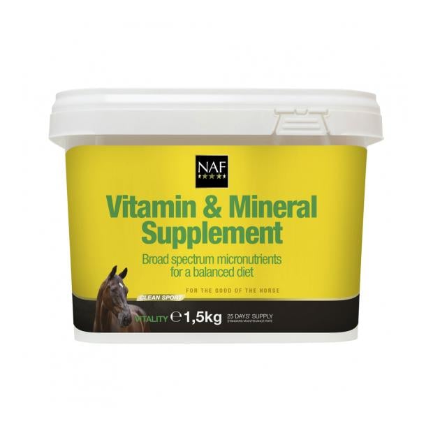 Vitamin & Mineral Supplement