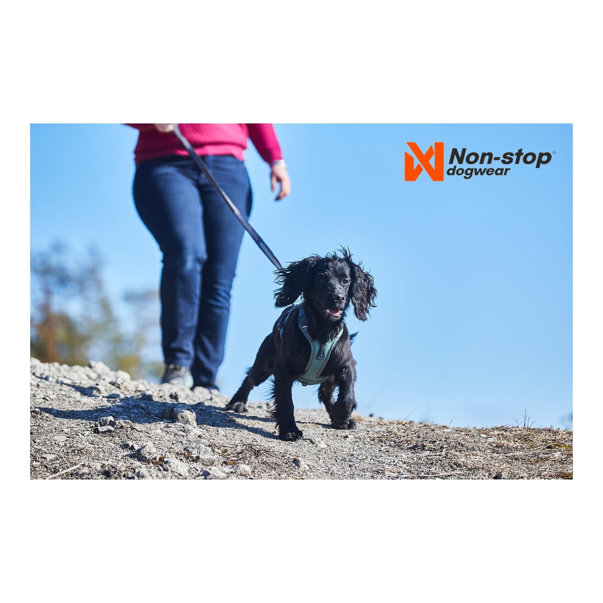 Ramble Harness - green