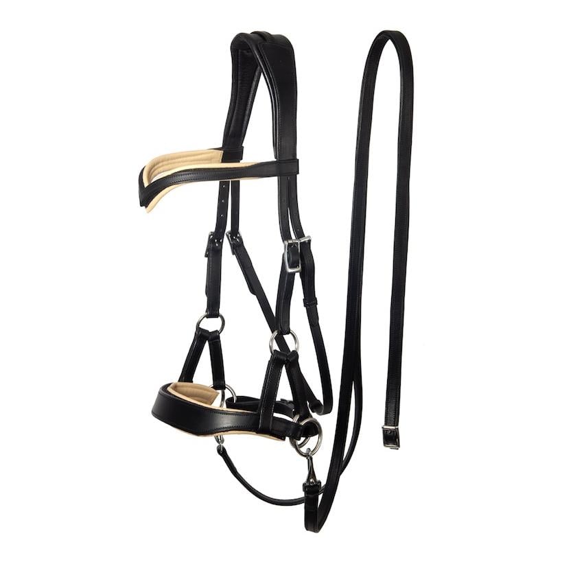 Zaum gebisslos Aruba mit flexiblen Farbpads