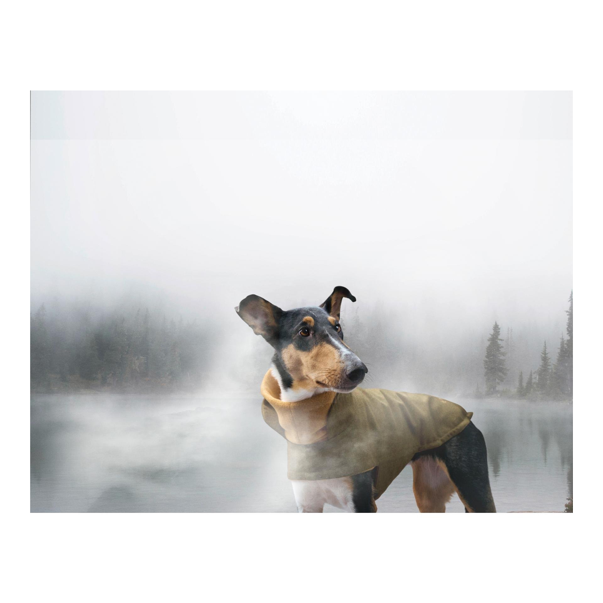 Hundemantel Brooklyn Flanell Regulär