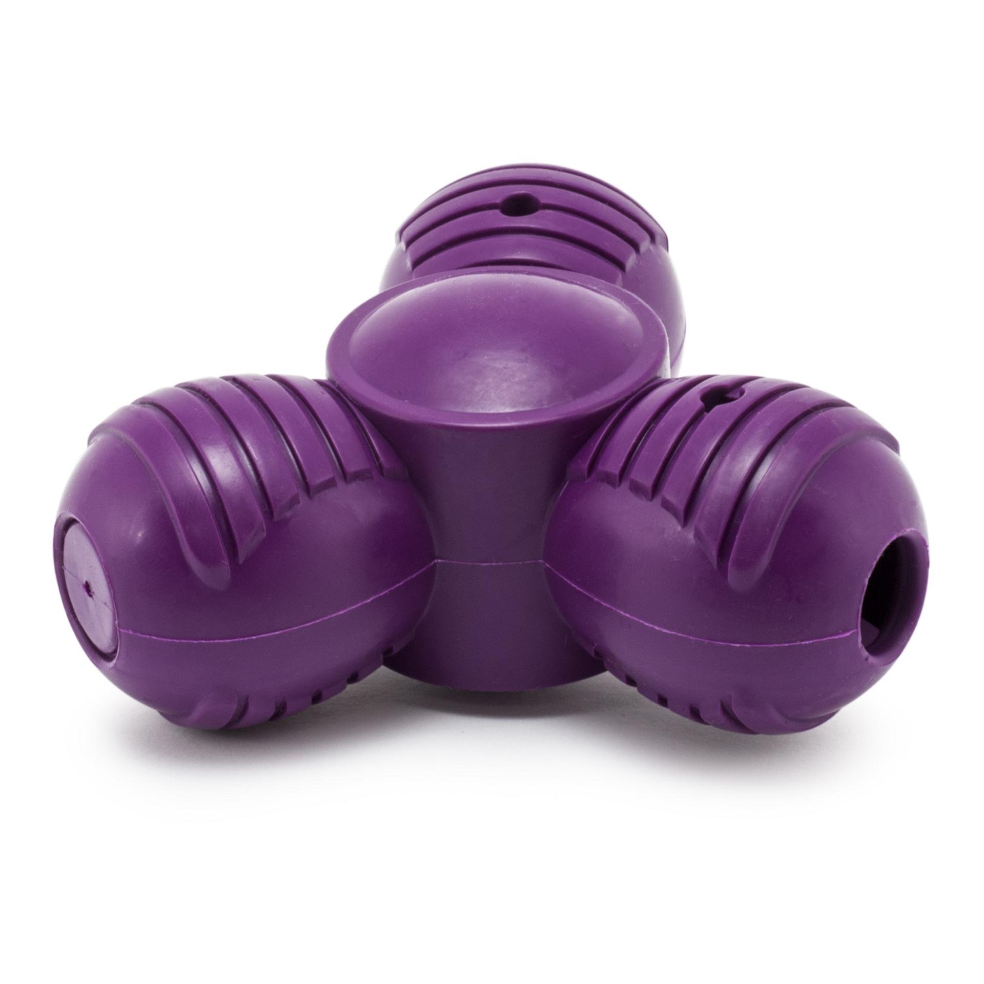 Busy Buddy Squeak 'n Treat Troog