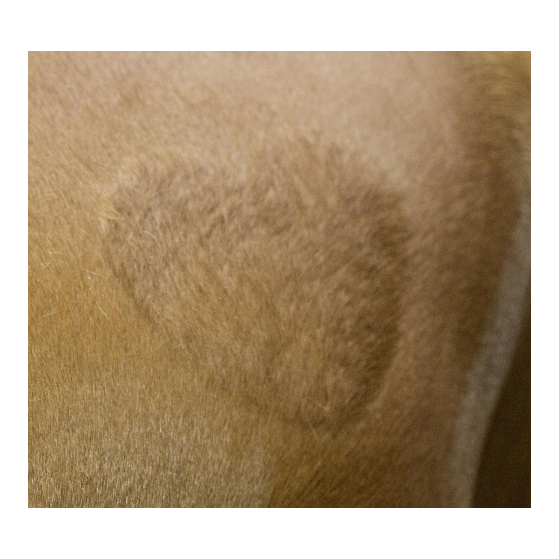 Scherschablone 3-er Set