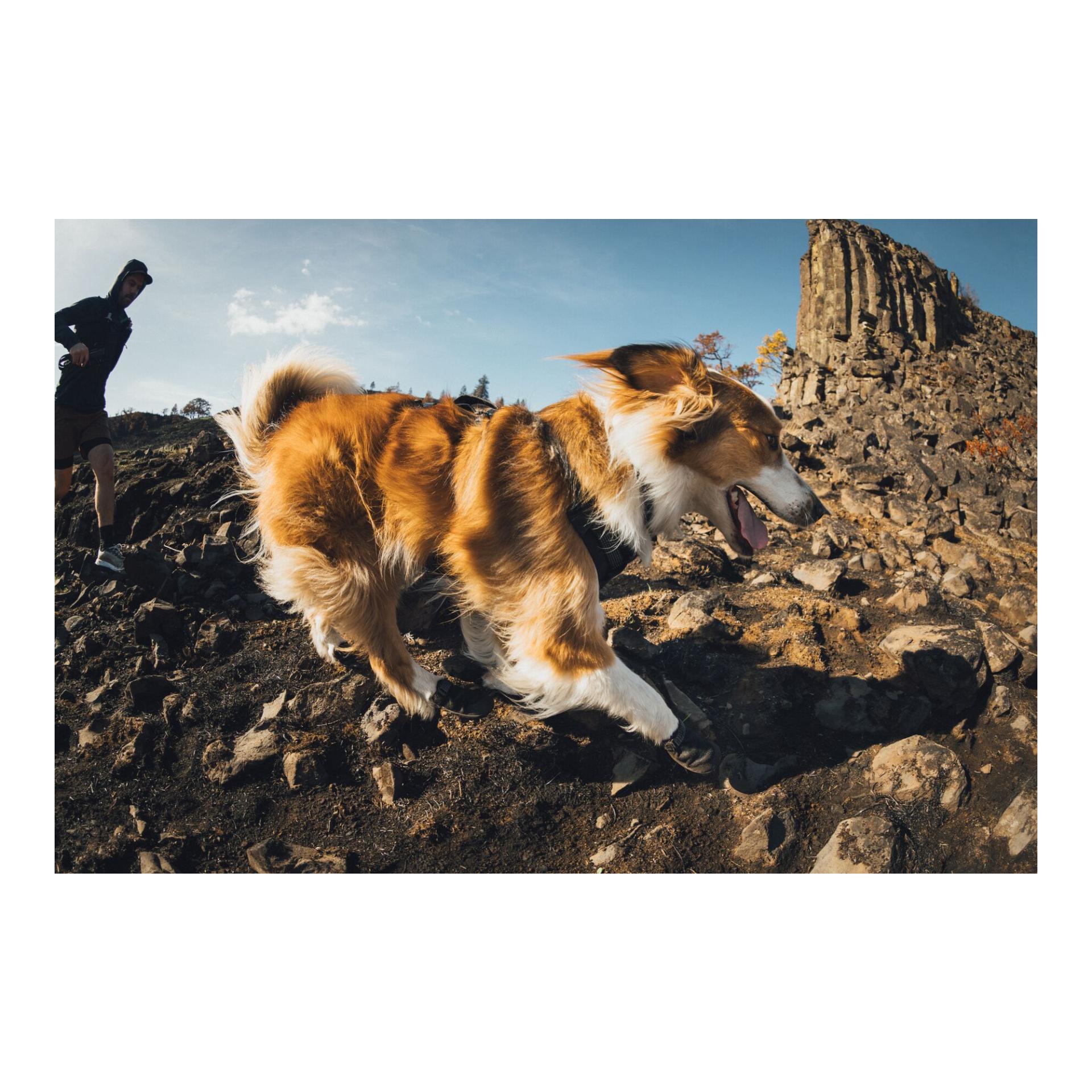 Ruffwear Ridgeline™ Hundeschuhe