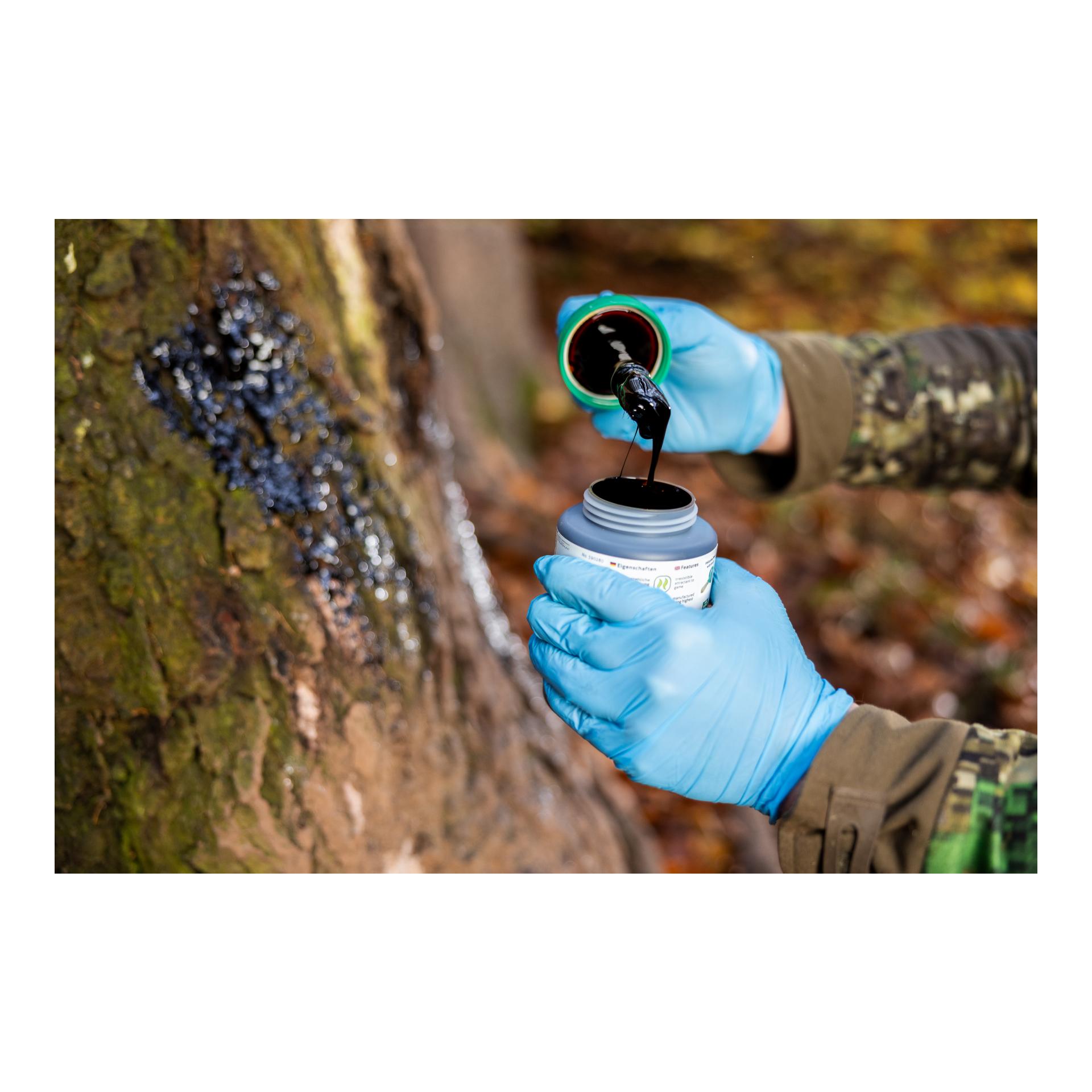 Weisskirchen Buchenholzteer - 500 ml Dose + Pinsel