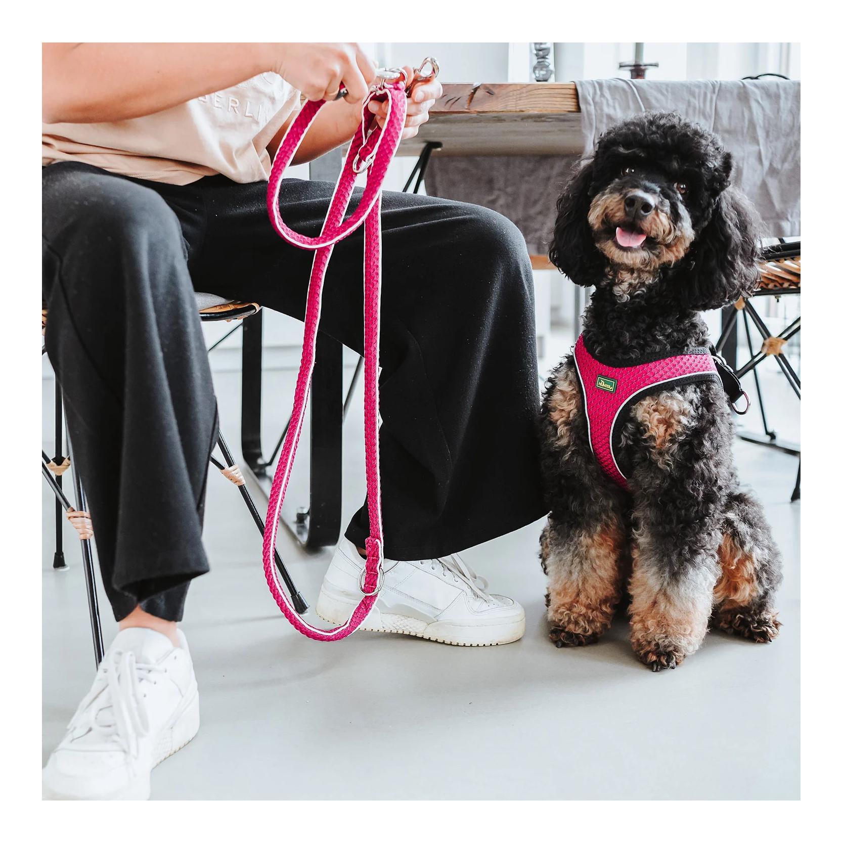 Hundegeschirr Hilo Comfort