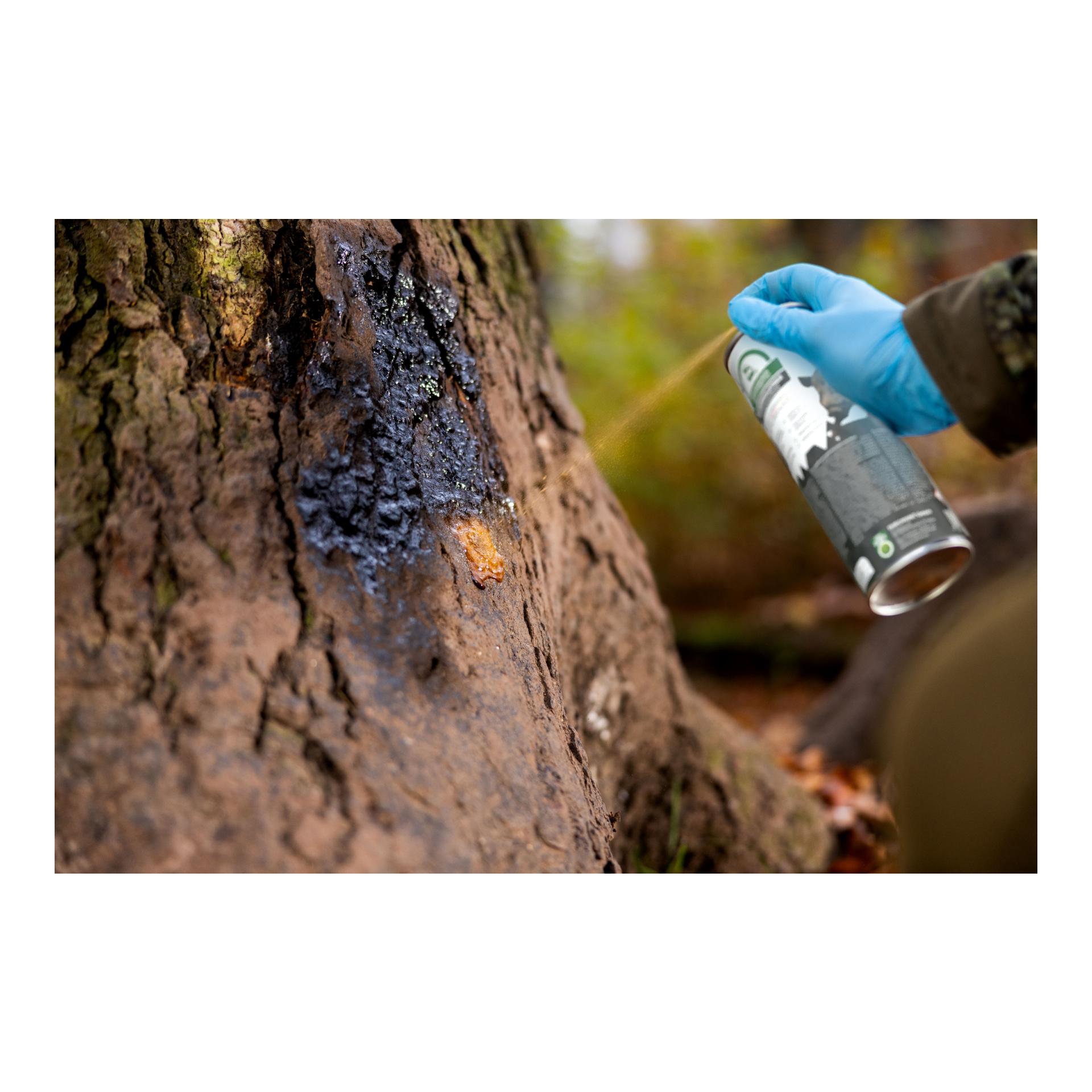 Weisskirchen Buchenholzteer - 500 ml Spraydose/UN 1950