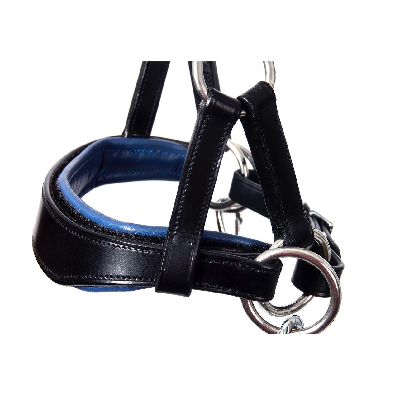 Zaum gebisslos Aruba mit flexiblen Farbpads