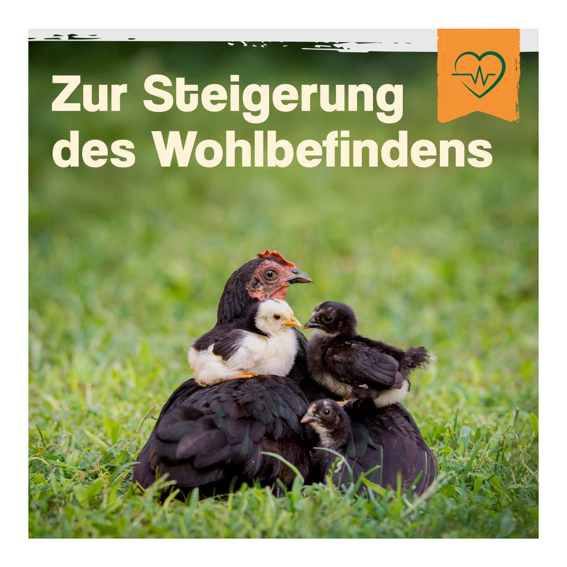IdaPlus Milb & Weg – Ergänzungsfuttermittel mit natürlichen Pflanzenextrakten