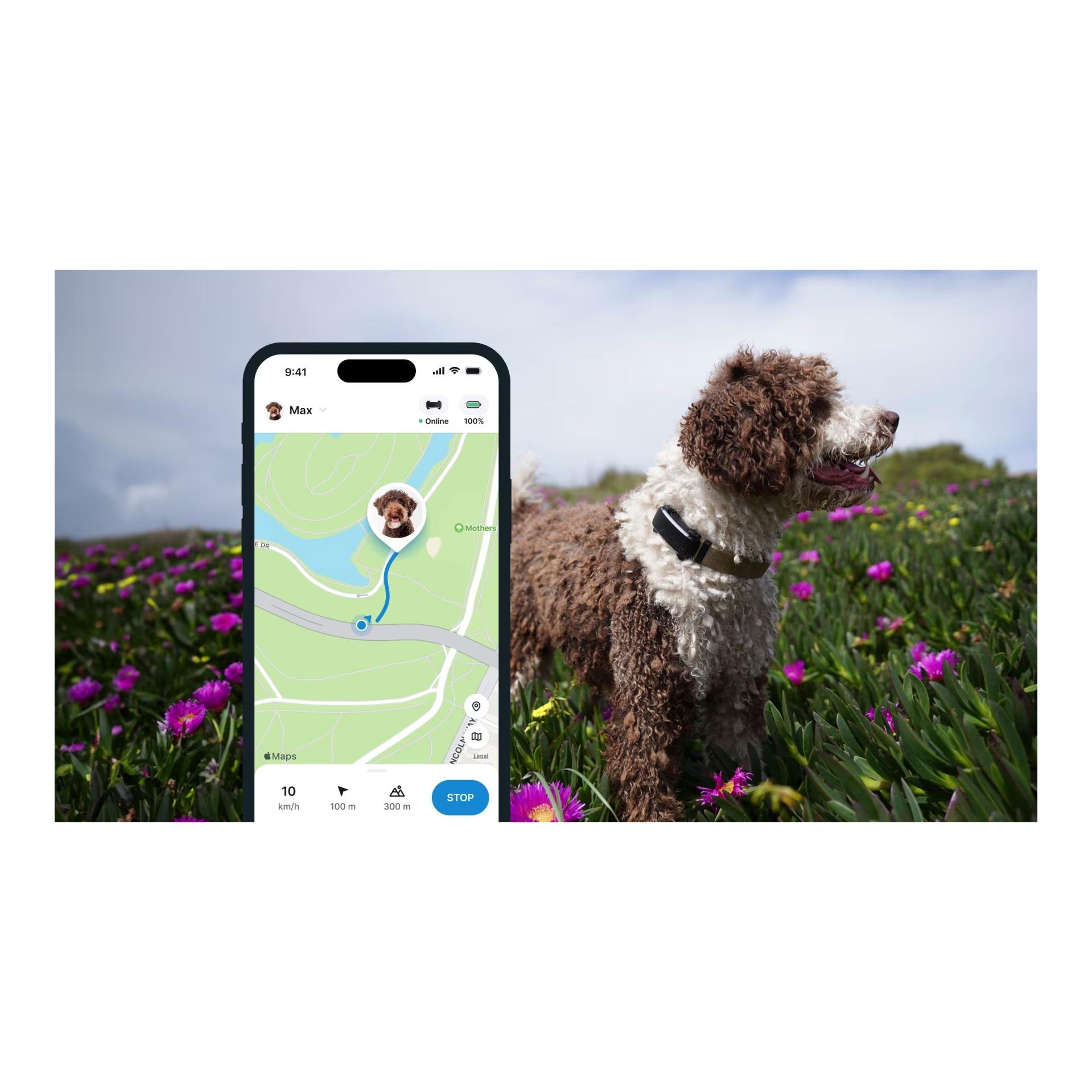 Tracker GPS pour chiens DOG 6