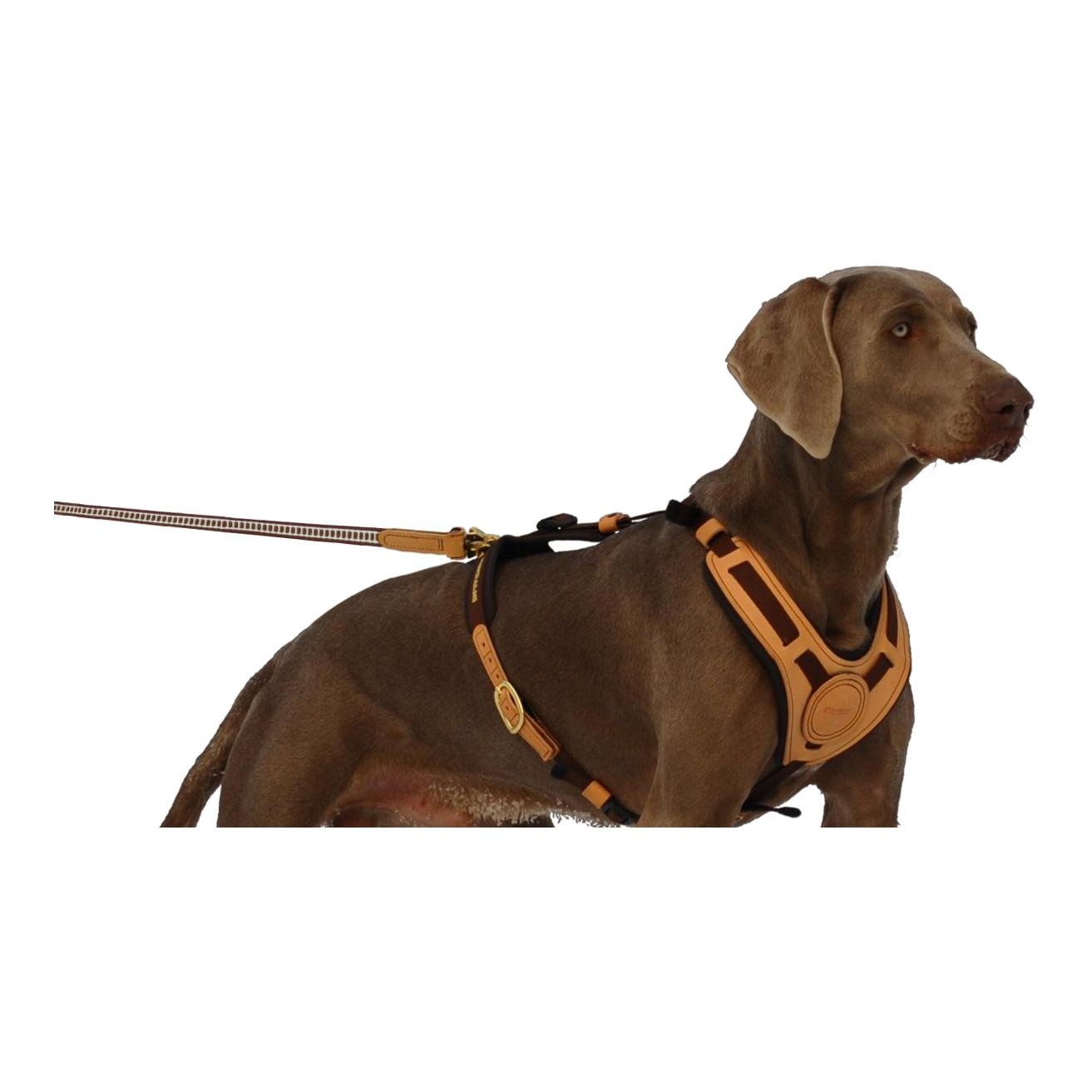 Führleine für Führgeschirr Mantrailing