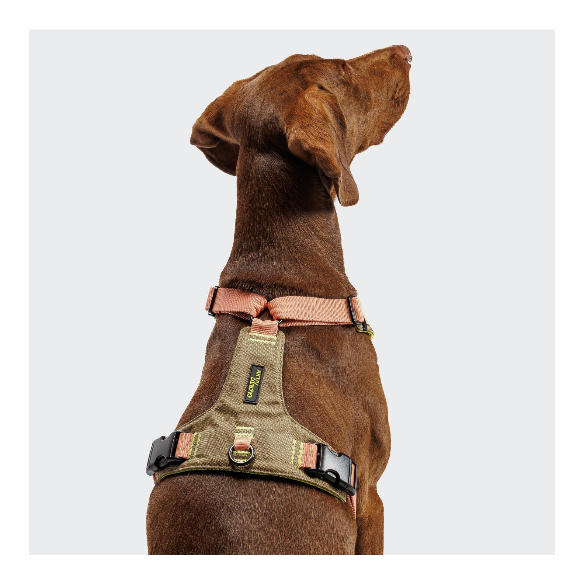 Harnais pour chien Y-2