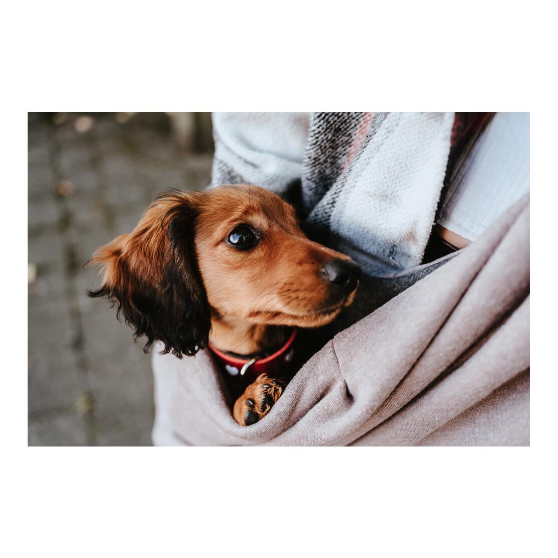 Tragebeutel Los Angeles bis 8kg - taupe