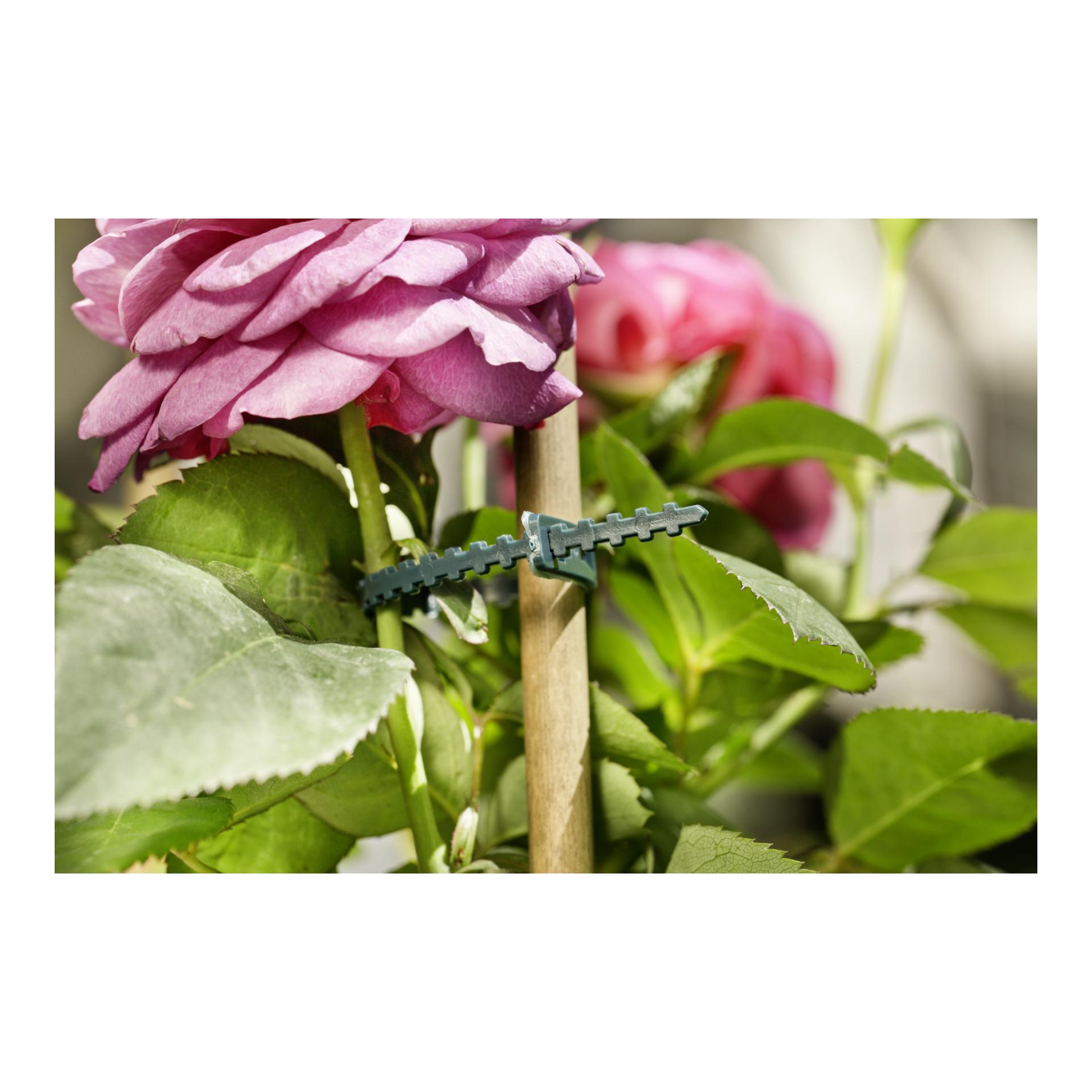 Windhager Attache-plantes