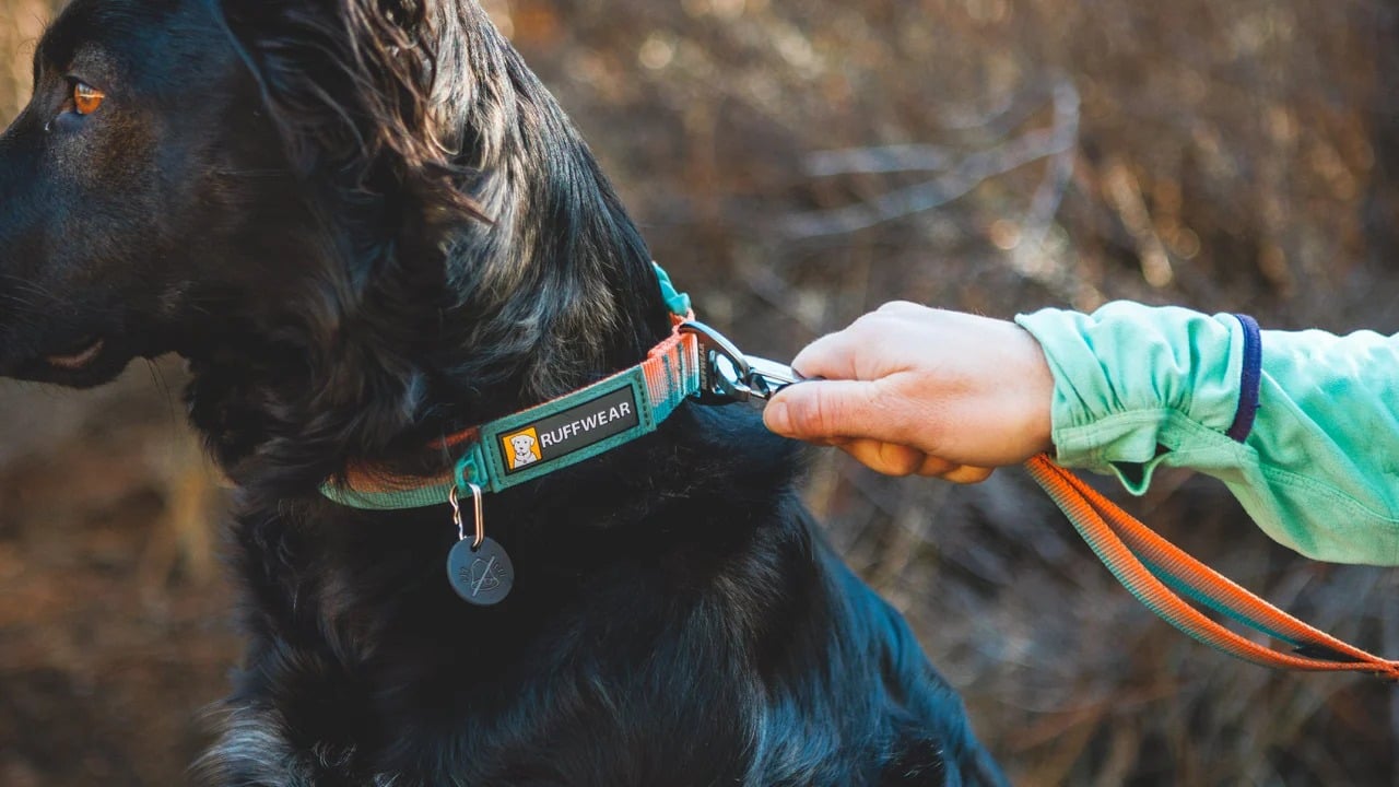 Ruffwear Front Range™ Collier de chien 