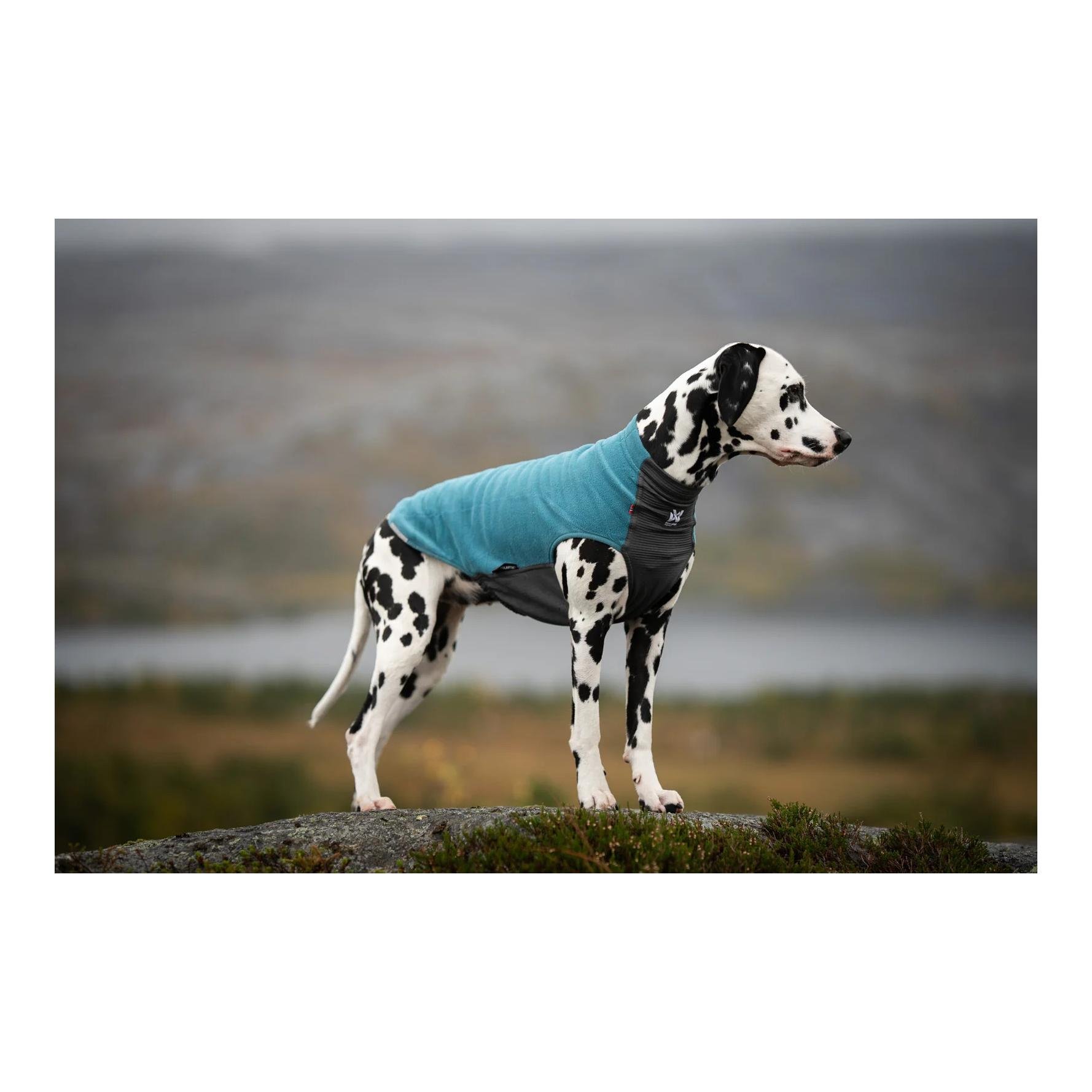 Hunde Fleecepullover Trail quest