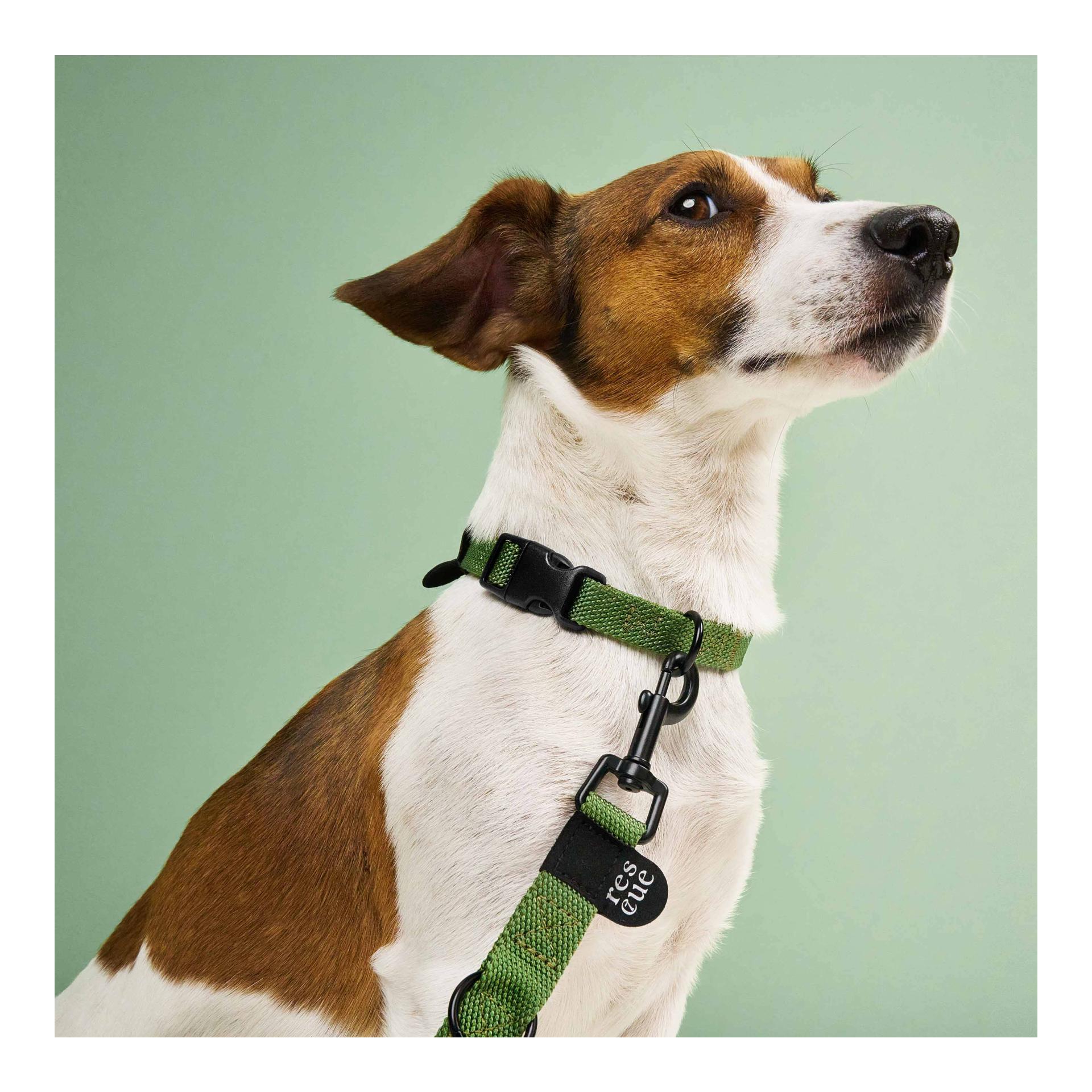 Laisse pour chien RESC7UE