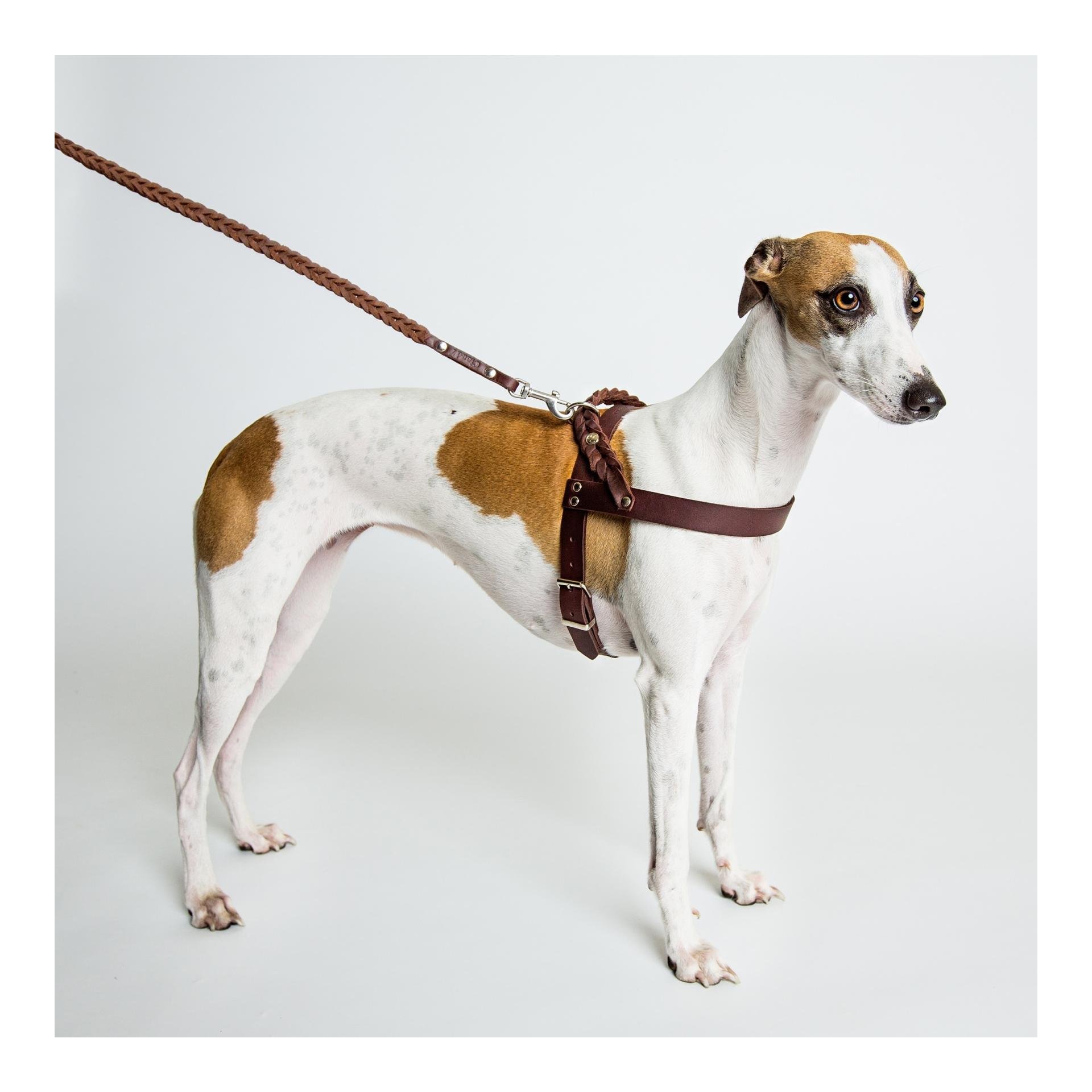 Geschirr Central Park Saddle Brown Echtleder