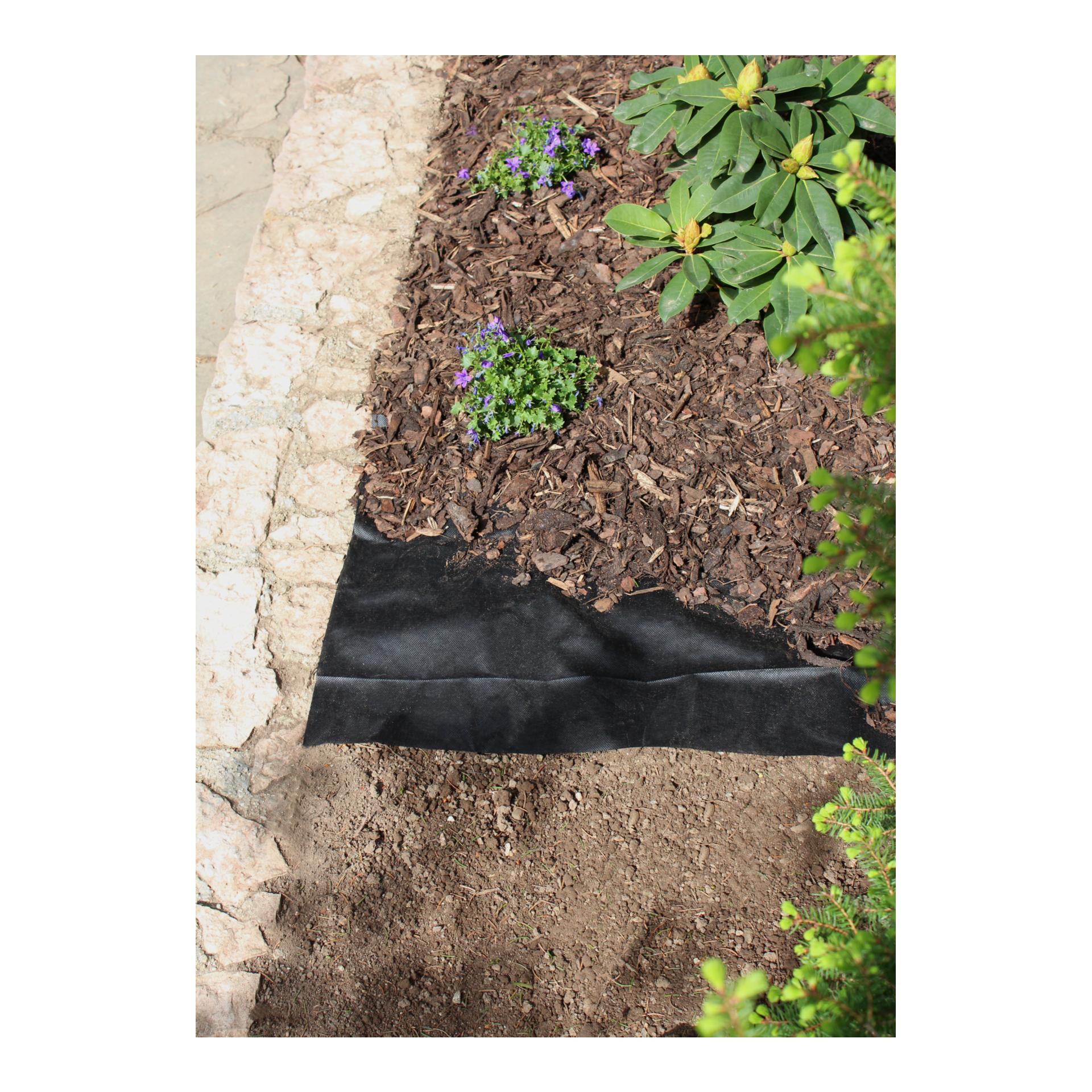 Windhager Toile anti-mauvaises herbes STANDARD 