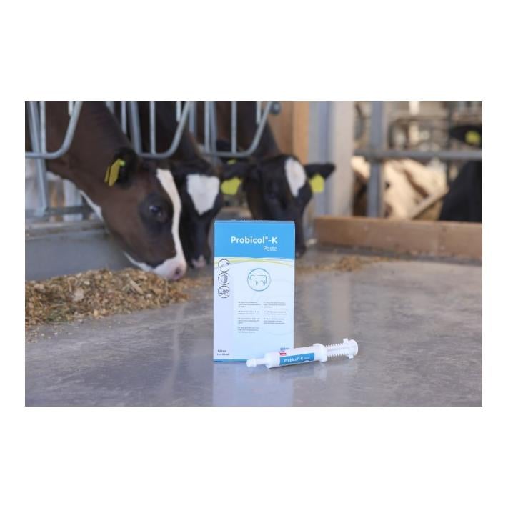 Probicol®-K – Paste