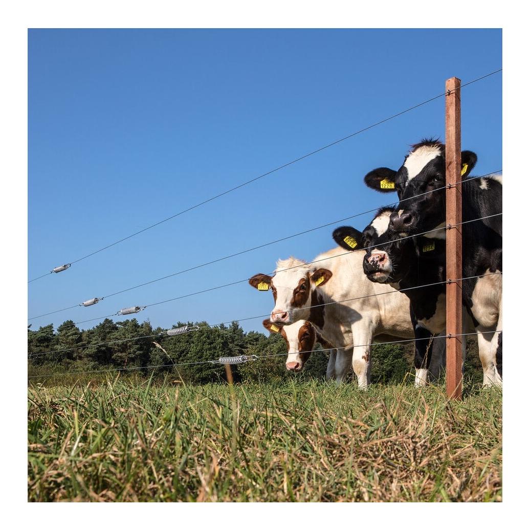 Aluminiumbeschichteter Spezial Stahldraht