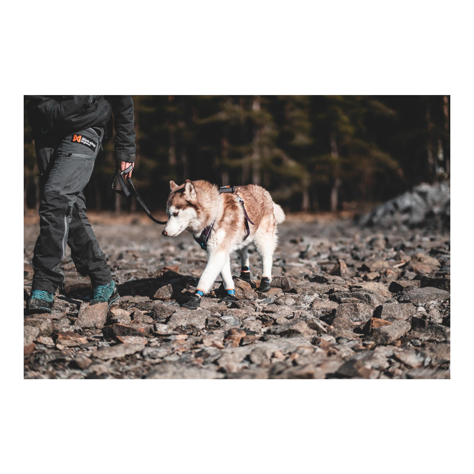 Protector Booties, 4 pièces