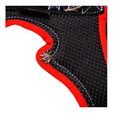 Dogs Fun Run Hundegeschirr MUTZ