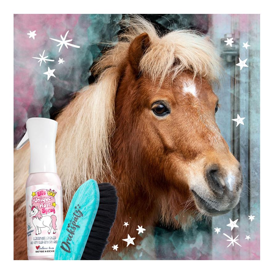 Image of Soulhorse Dreckspatz Staub- & Schmutz-Set - Türkis - bei Hauptner.ch