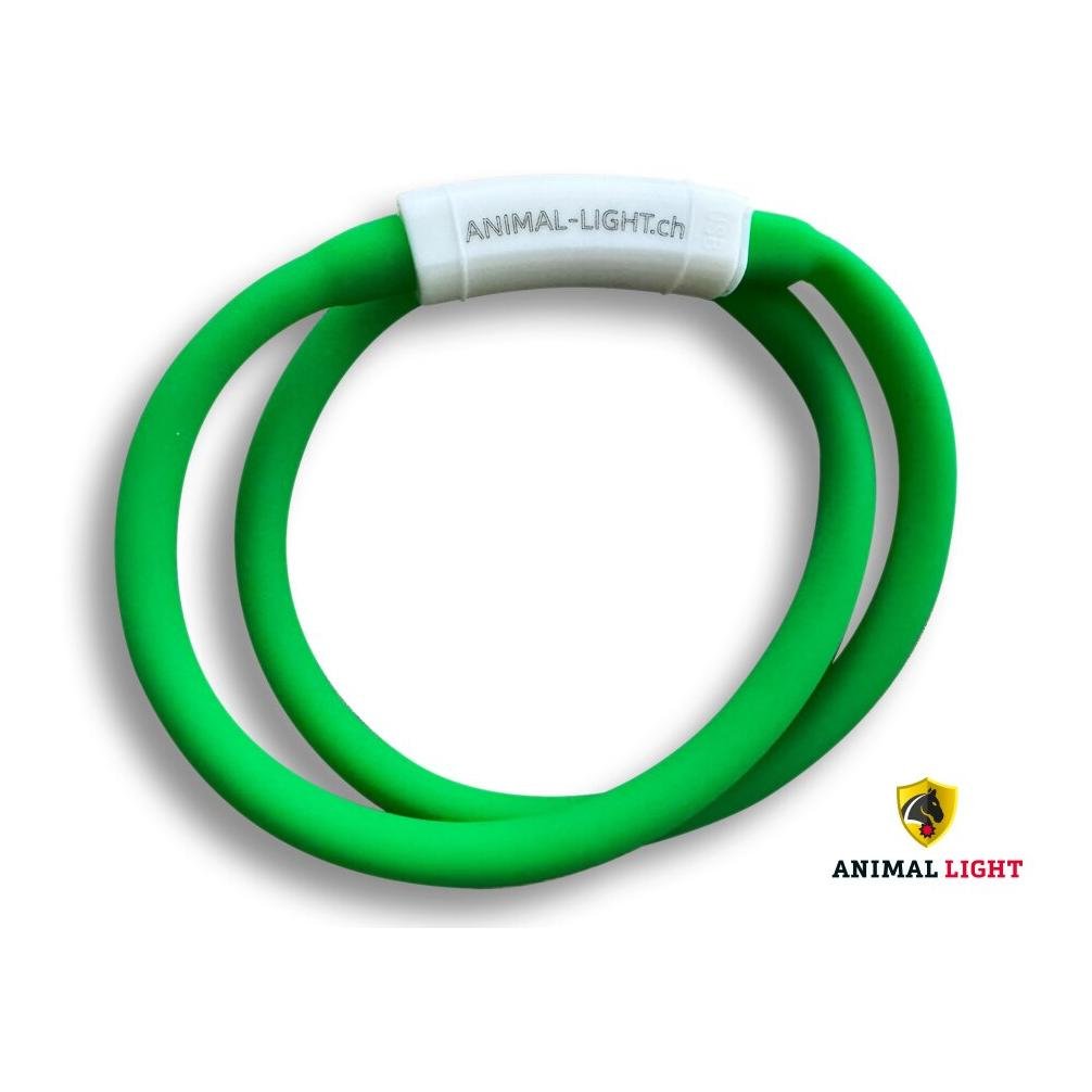 Leucht-Halsriemen Flex