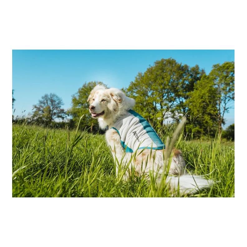 Non-stop Dogwear Hundejacke Cooling pull-on