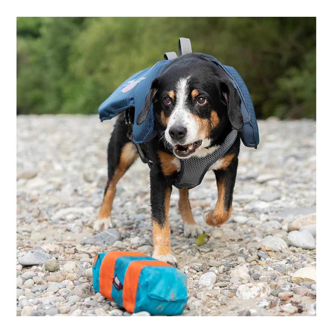 Beat Grossenbacher Gilet de sauvetage pour chiens