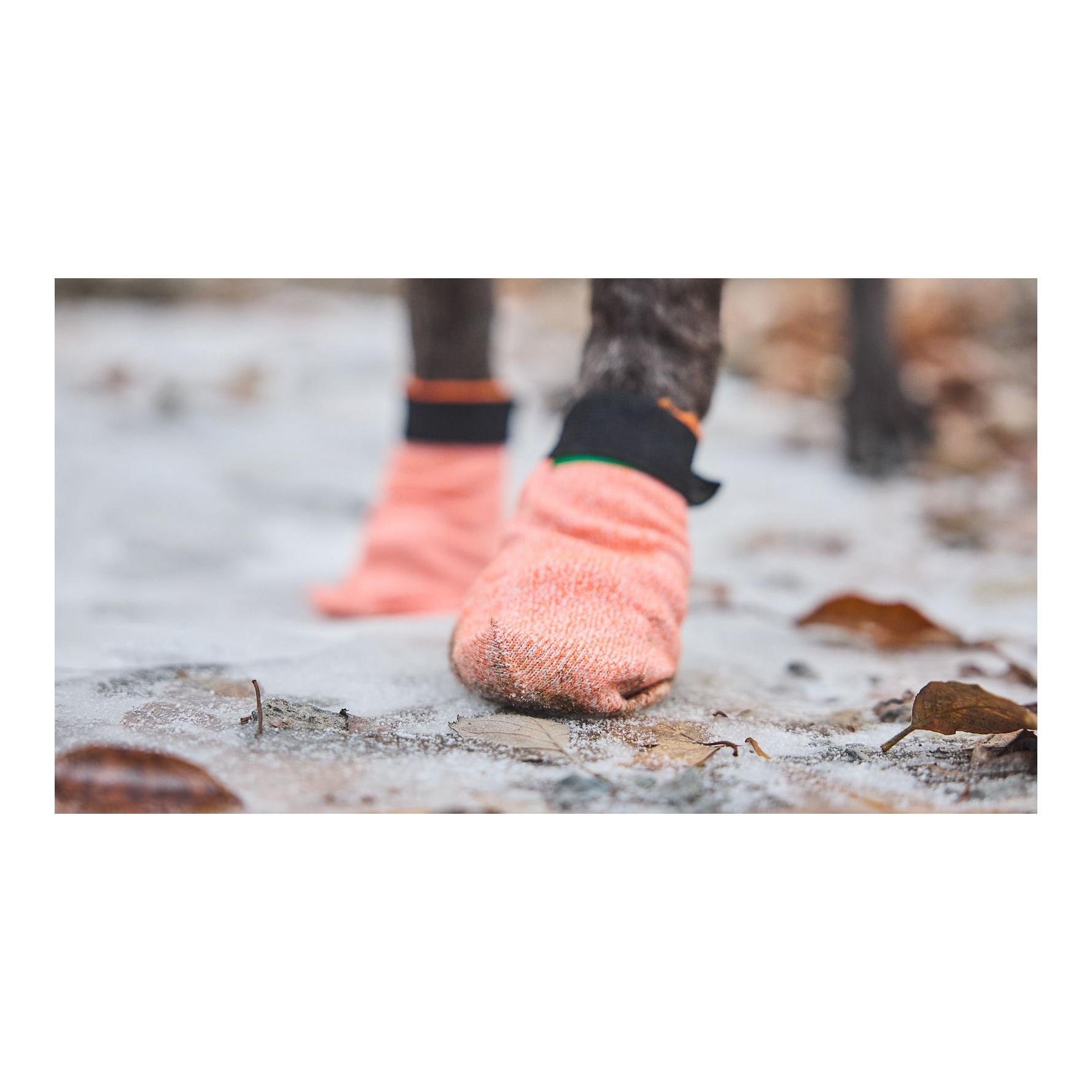 Protector Light Socks Chaussures pour chiens