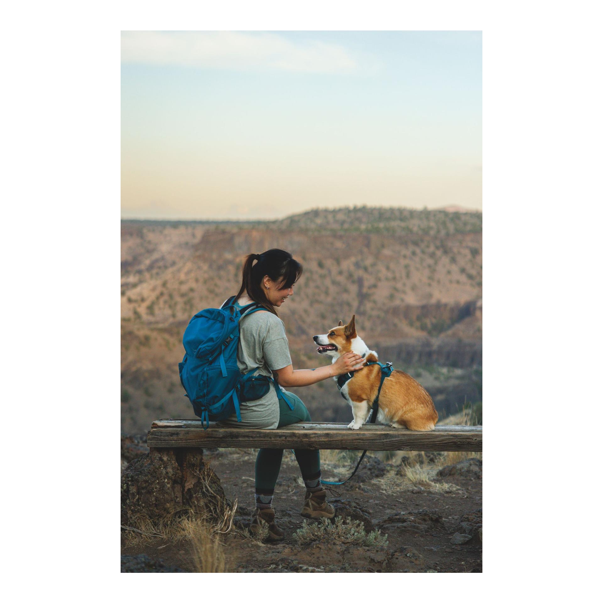 Ruffwear Front Range™ Flex Hundehalsband