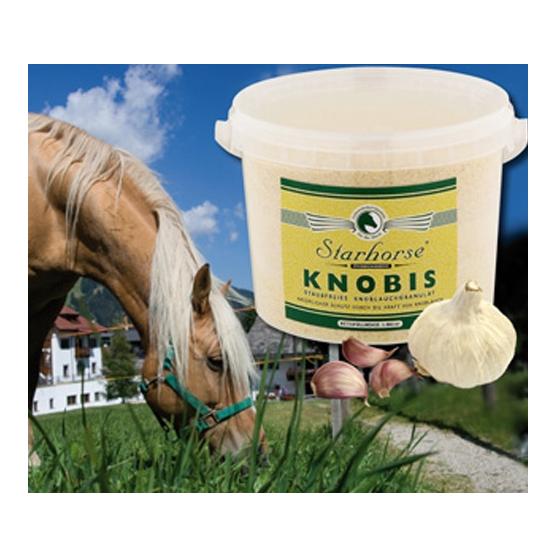 Image of Starhorse Knobis bei Hauptner.ch