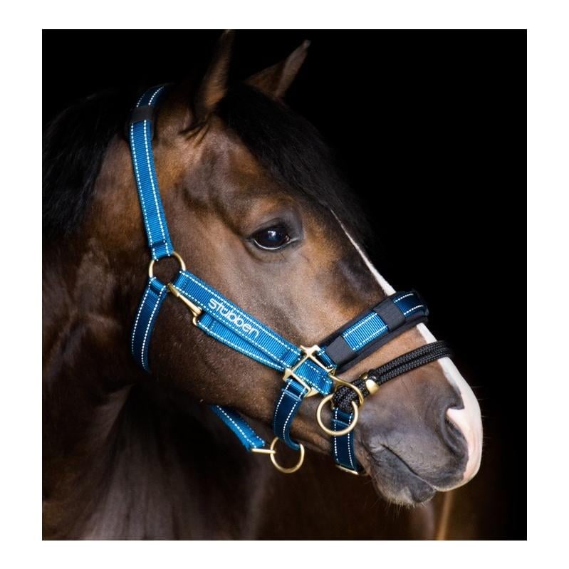 LK Controller für Stallhalfter - blau 