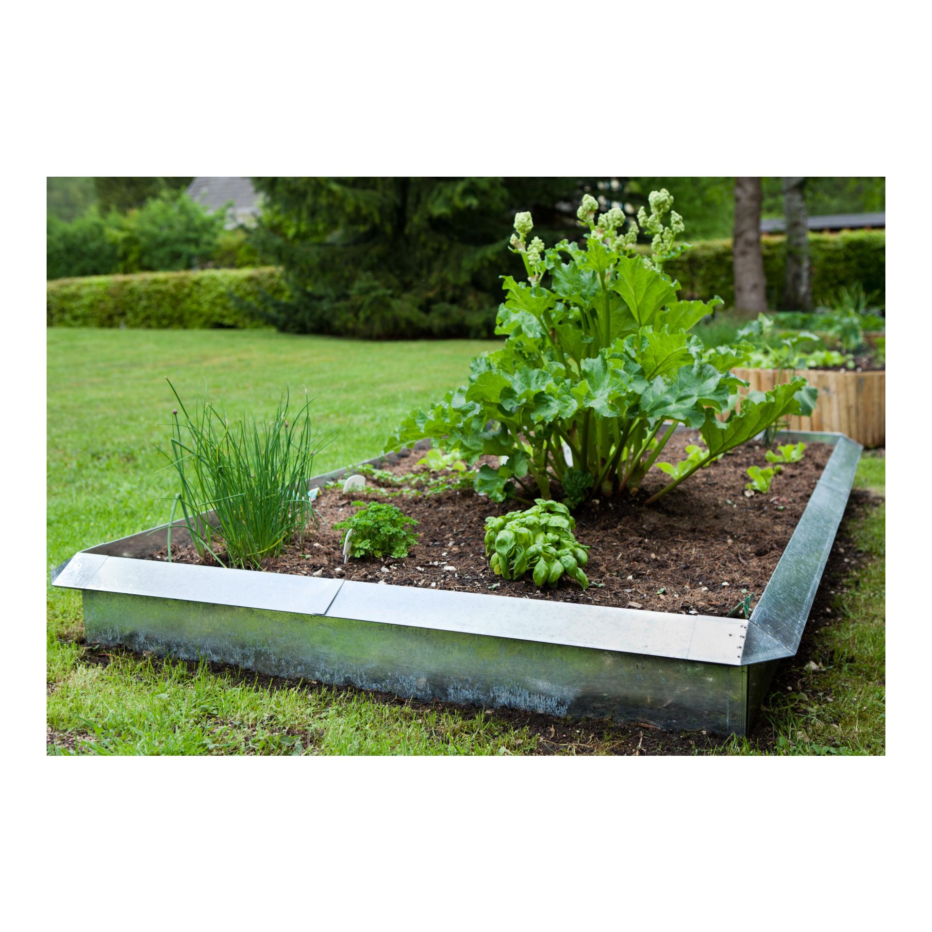 Paroi pour barrière à limaces - mur