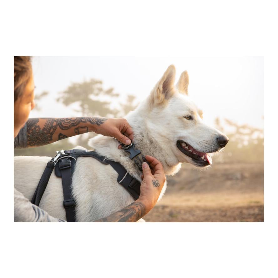 Ruffwear Front Range™ Collier de chien 