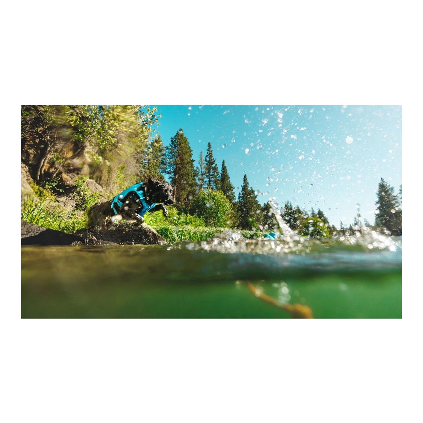 Hundespielzeug Lunker