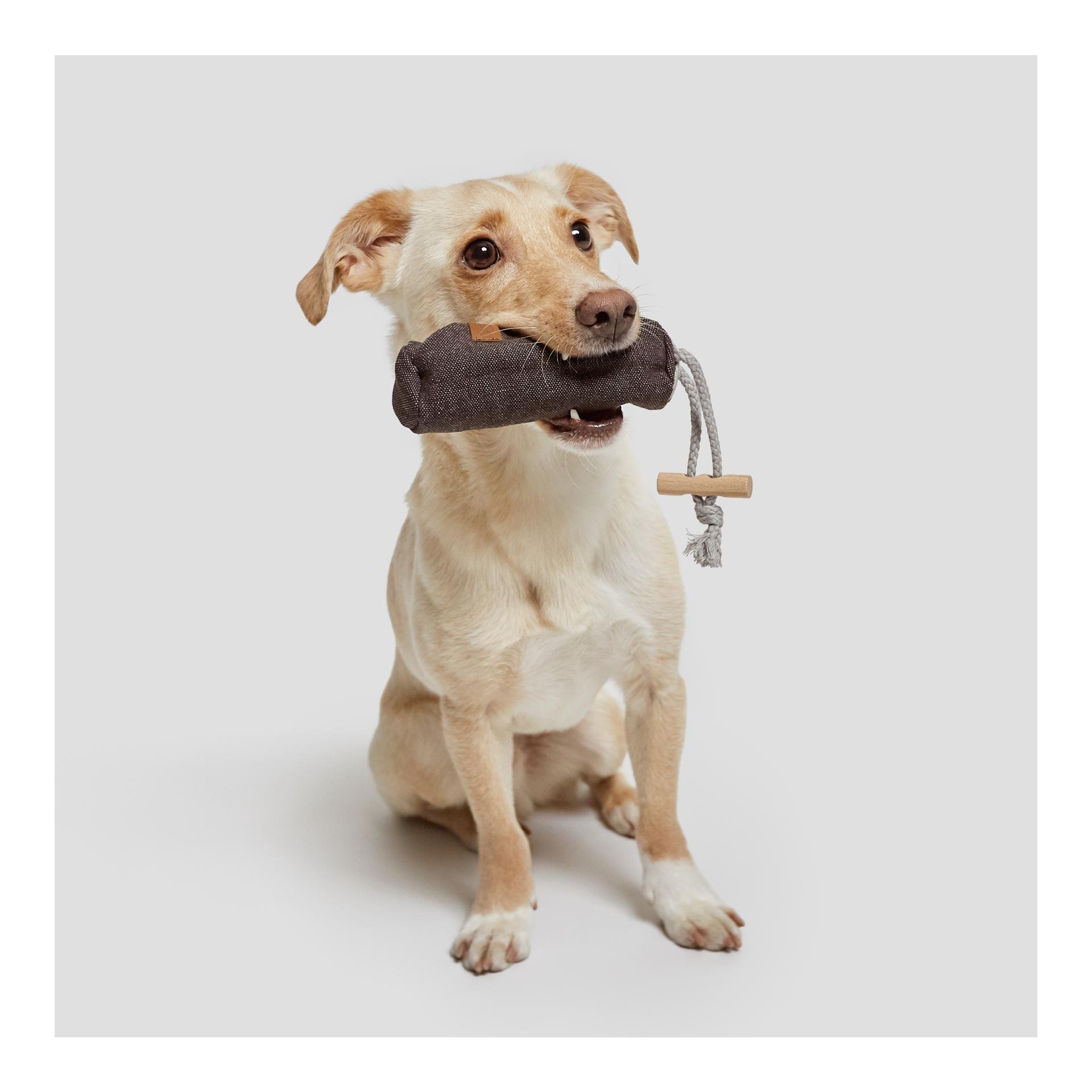 Cloud 7 Doublure Dummy - Heather Brown