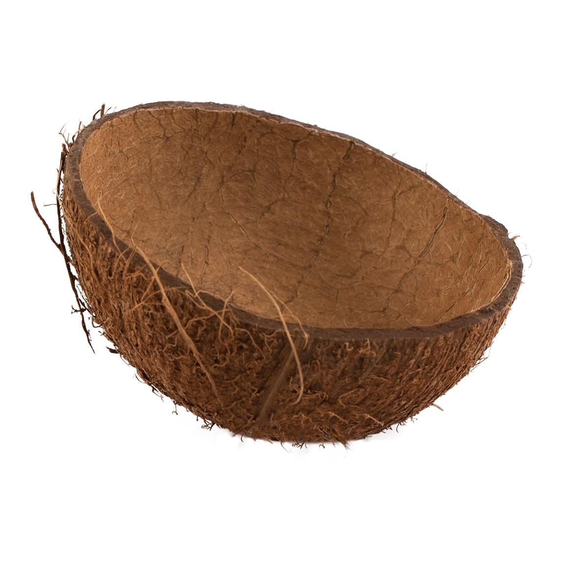 Image of Hauptner Natur Kokosnuss Futterschale - natur bei Hauptner.ch