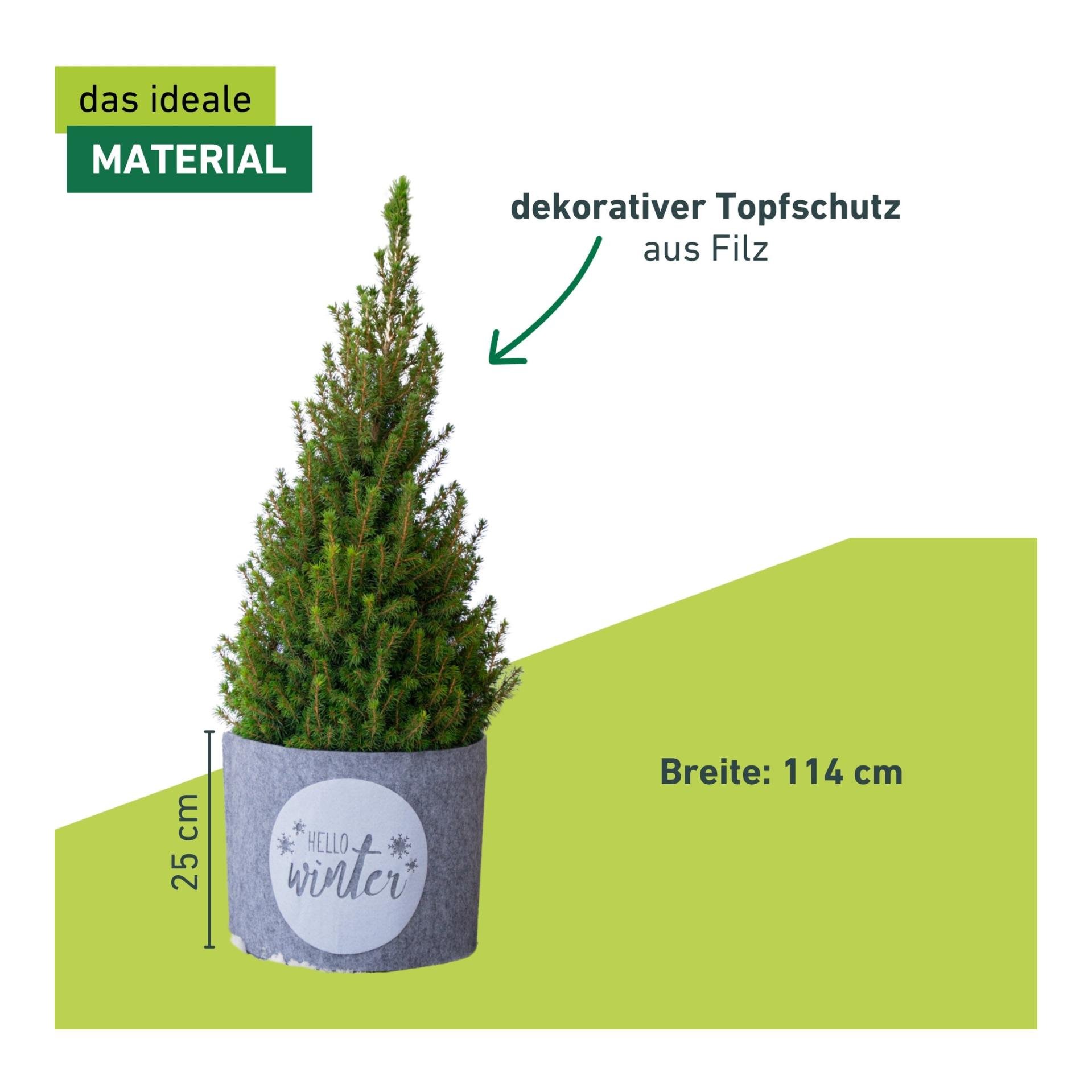 Deko-Filz-Topfschutz HELLO WINTER