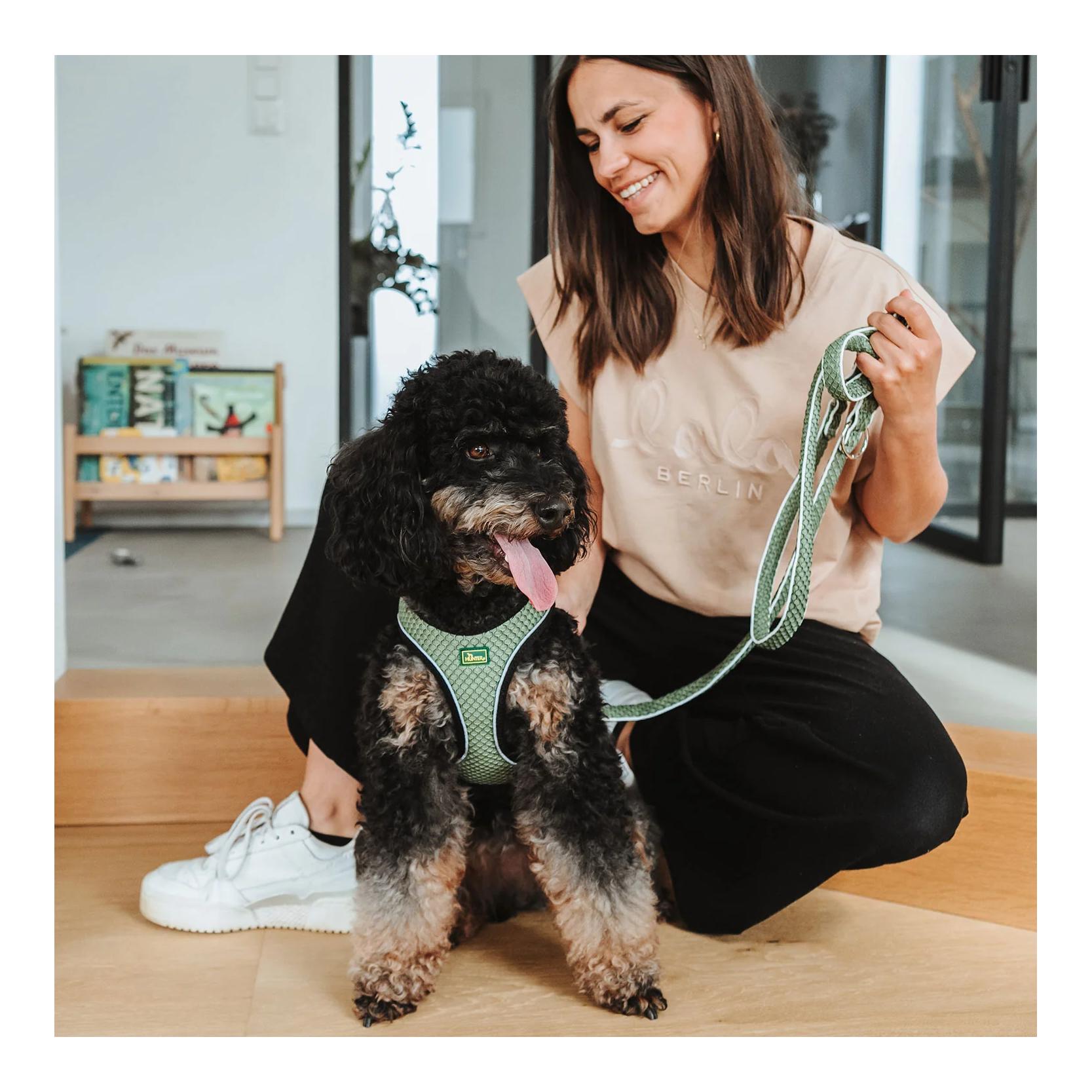 Hundegeschirr Hilo Comfort