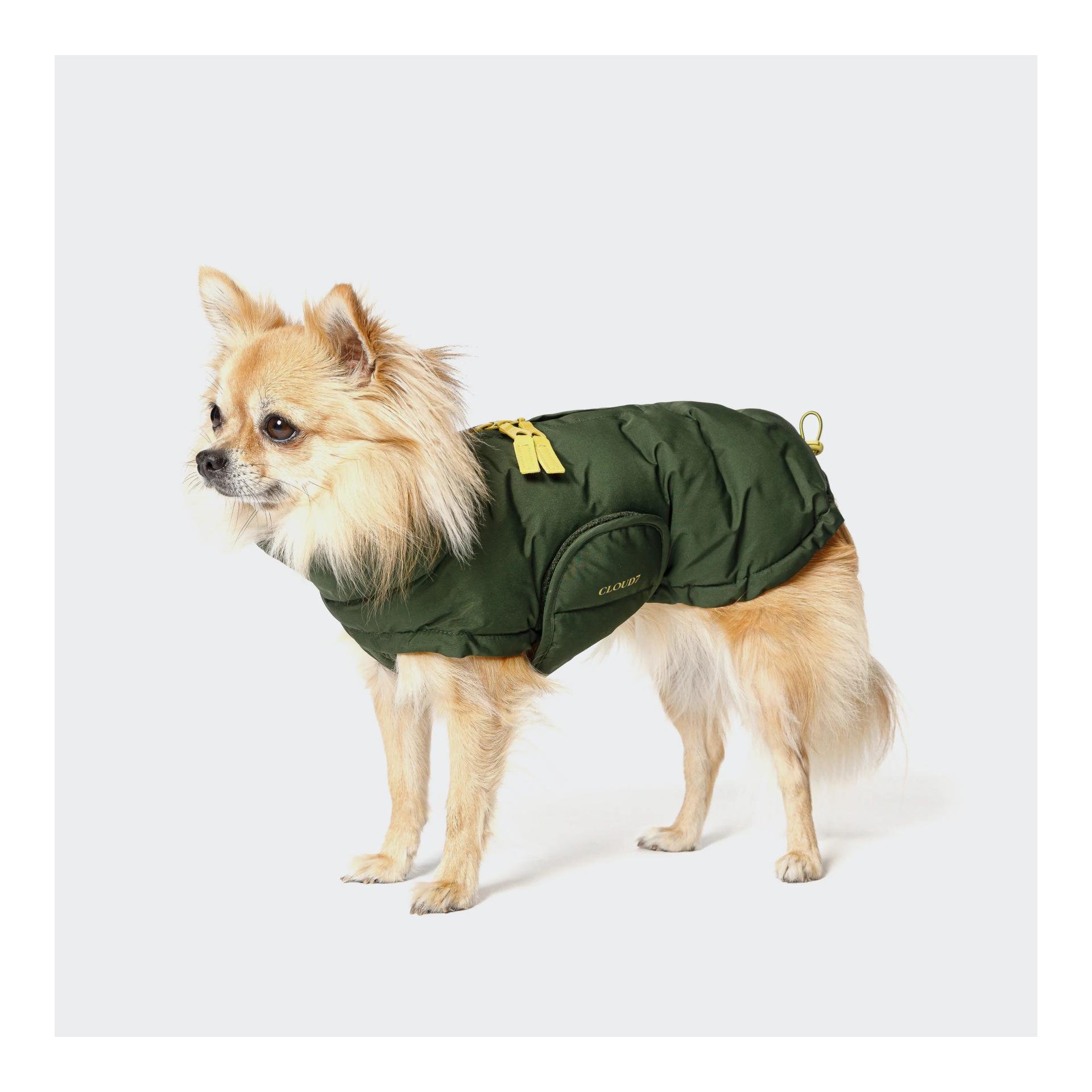 Hundemantel Alaska PRO