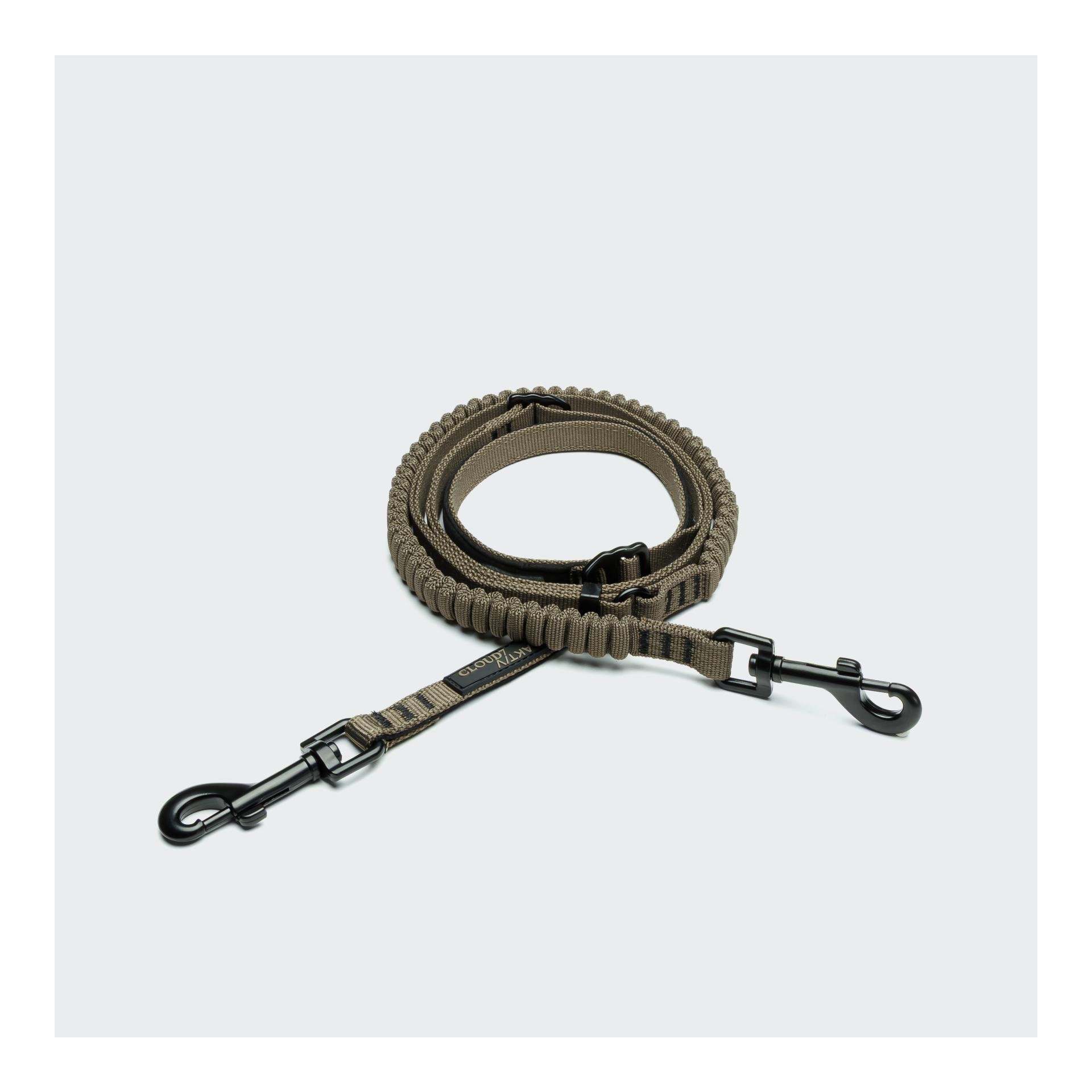 L-2 Laisse de jogging pour chien