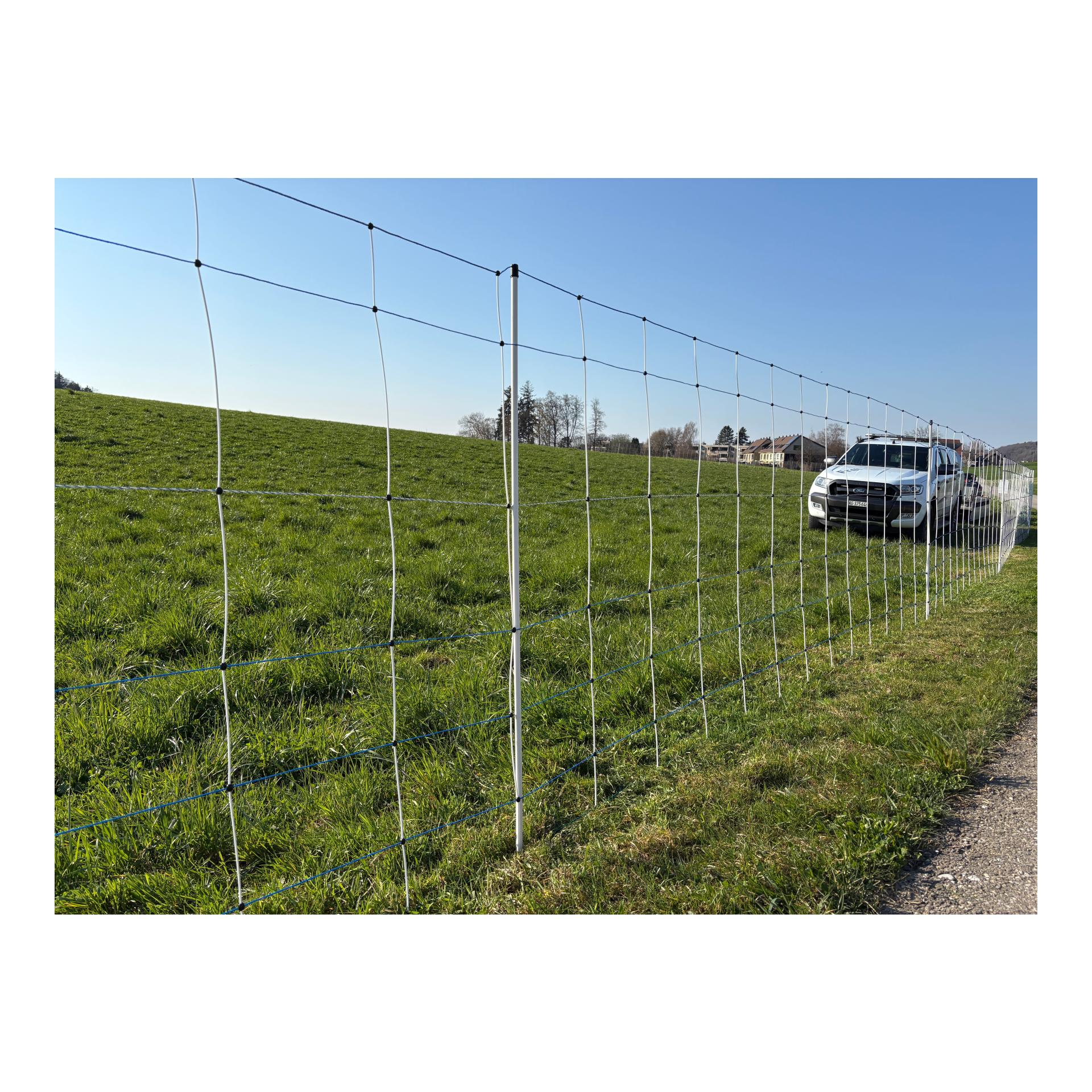 Hauptner Filet en osier "Primaflex Alpin" - pointe simple