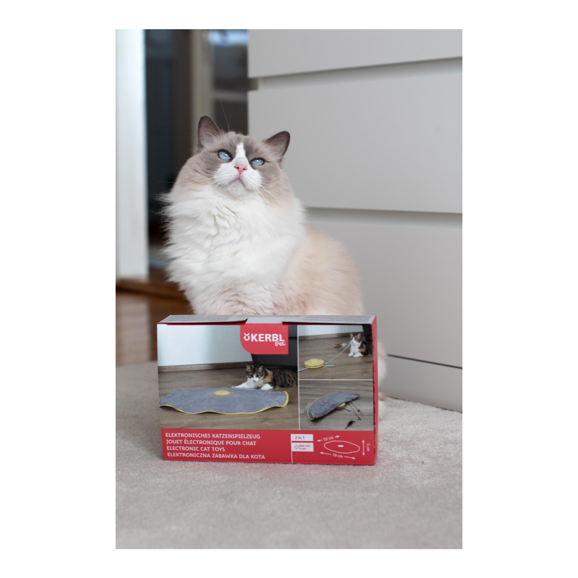 Katzenspielzeug automatisch 2in1